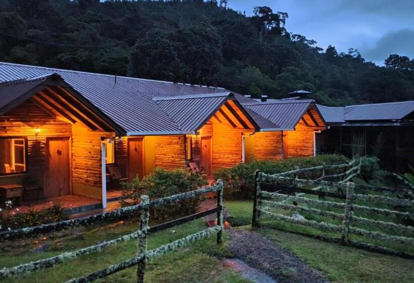 스탠다드 룸, Tree Trek Boquete Adventure Park