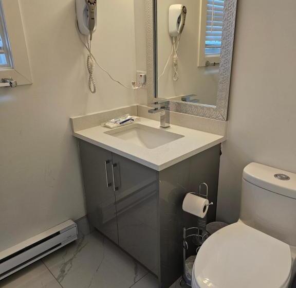 Семейный Номер Deluxe, Mountain View Hope Motel