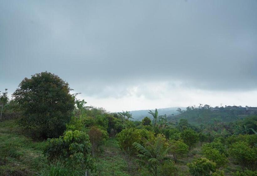 Люкс Вид на Бассейн, Shankara Munduk Bali