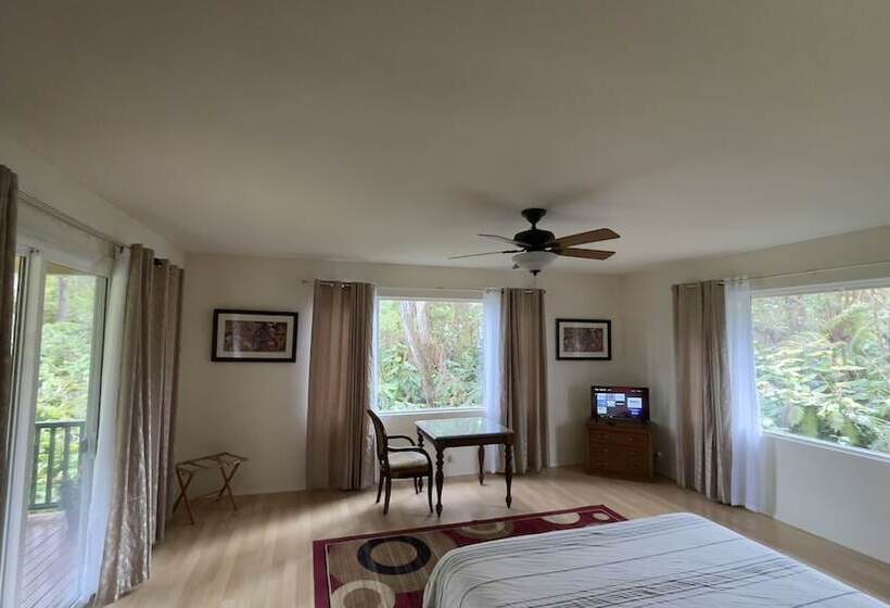 Номер Стандарт, Volcano Forest Inn