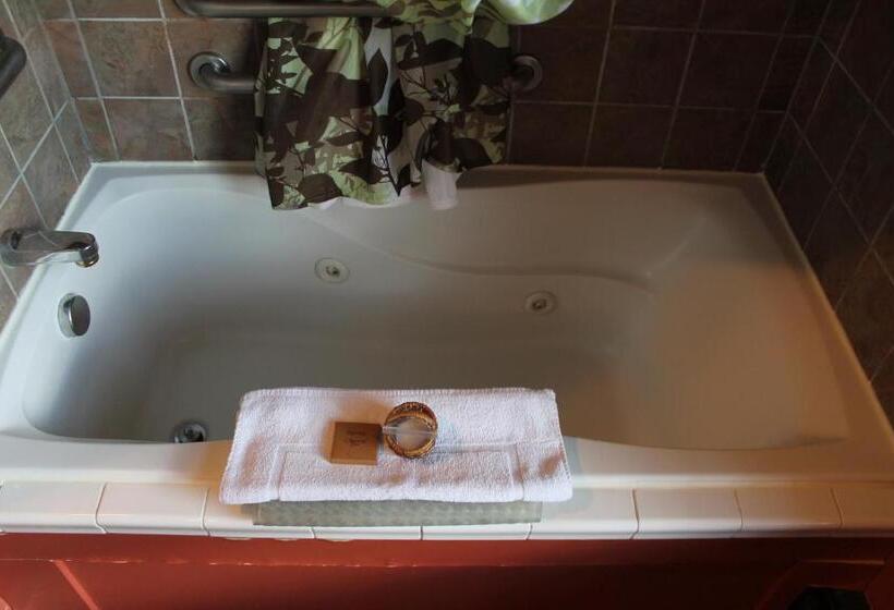 Номер Deluxe, Iowa House Historic Inn