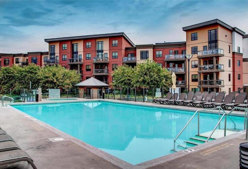 １階の１ベッドルームアパートメント, Okanagan Valley Rentals At Playa Del Sol