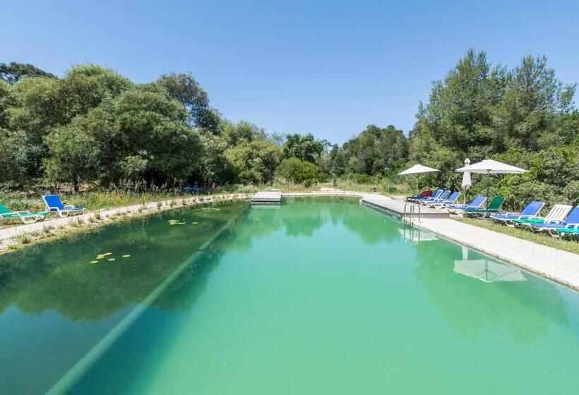 Номер Deluxe с Балконом, Quinta De São Pedro