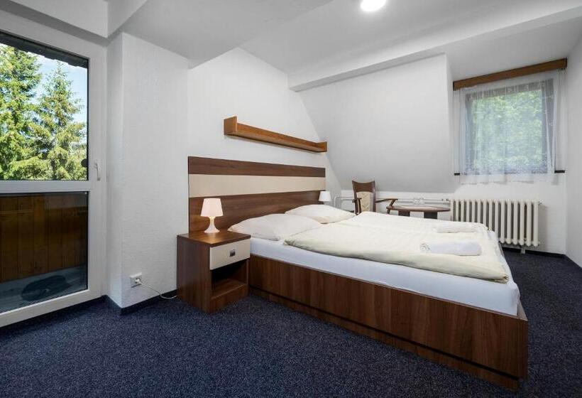 Номер Стандарт, Horský Hotel Jelínek