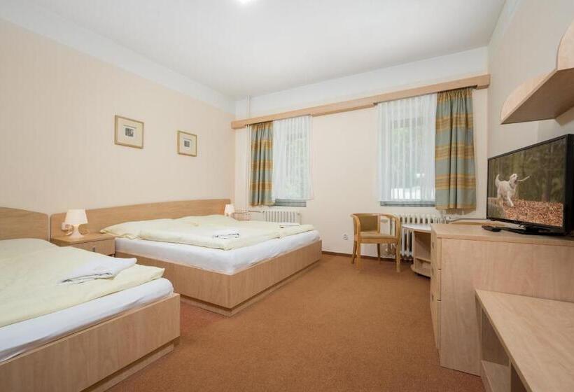 Четырехместный Номер Стандарт, Horský Hotel Jelínek