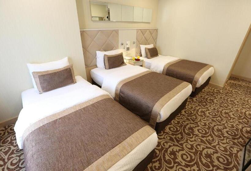 اتاق استاندارد سه نفره, Alpinn Hotel Istanbul