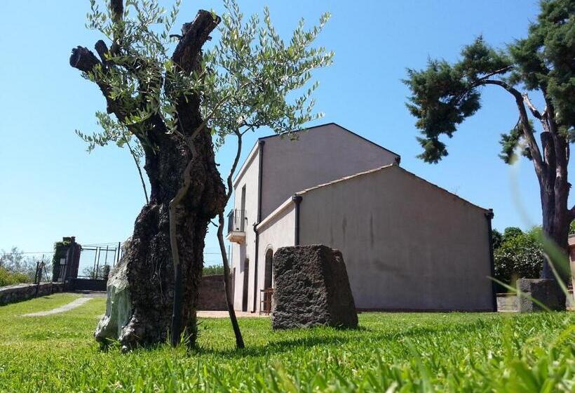 スタンダードルーム, Il Giardino Degli Ovali