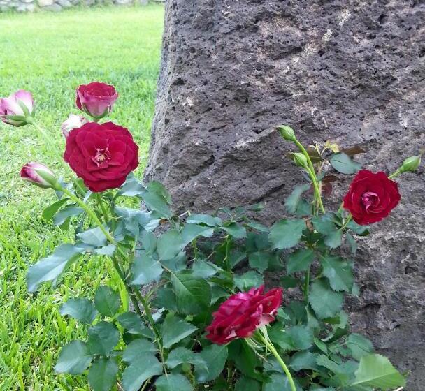バルコニー付きスタンダードトリプルルーム, Il Giardino Degli Ovali