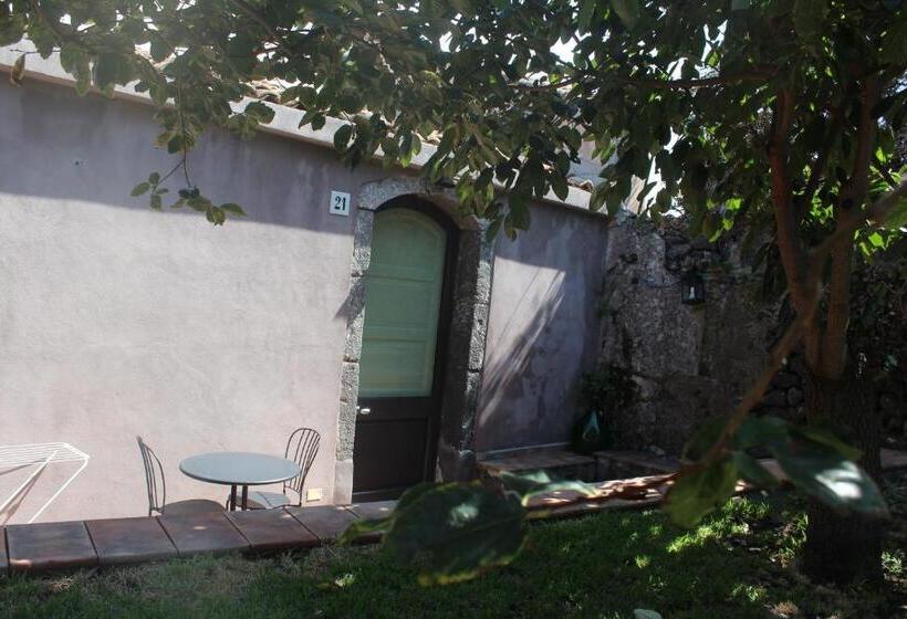 スタンダードルーム, Il Giardino Degli Ovali