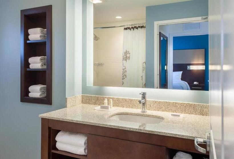 سوئیت با تخت بزرگ, Residence Inn By Marriott Orlando Downtown