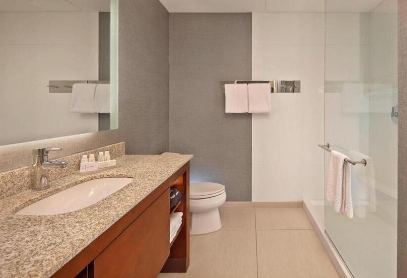 Студио Стандарт Кровать Кинг, Residence Inn By Marriott Orlando Downtown