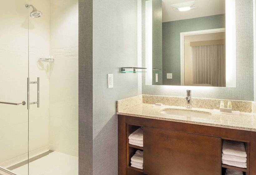 Люкс 2 Спальни, Residence Inn By Marriott Orlando Downtown