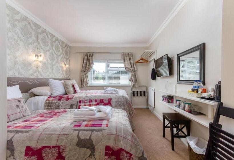 Трехместный Номер Классика, Cambridge House Room Only Accommodation For Adults