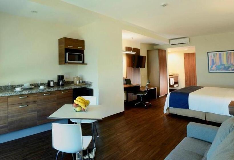 带大床的小型套房, La Venta Inn Ciudad Del Carmen