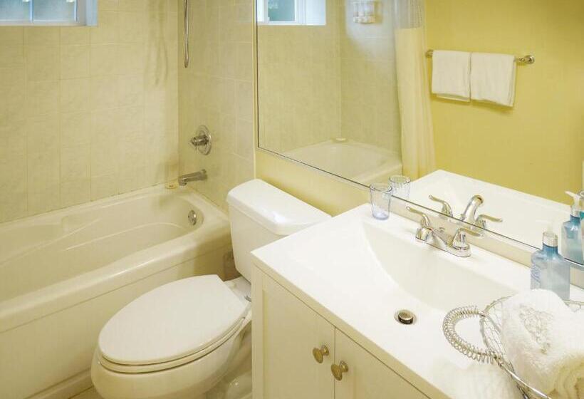 Семейное Студио, Star Of The Sea Guest House