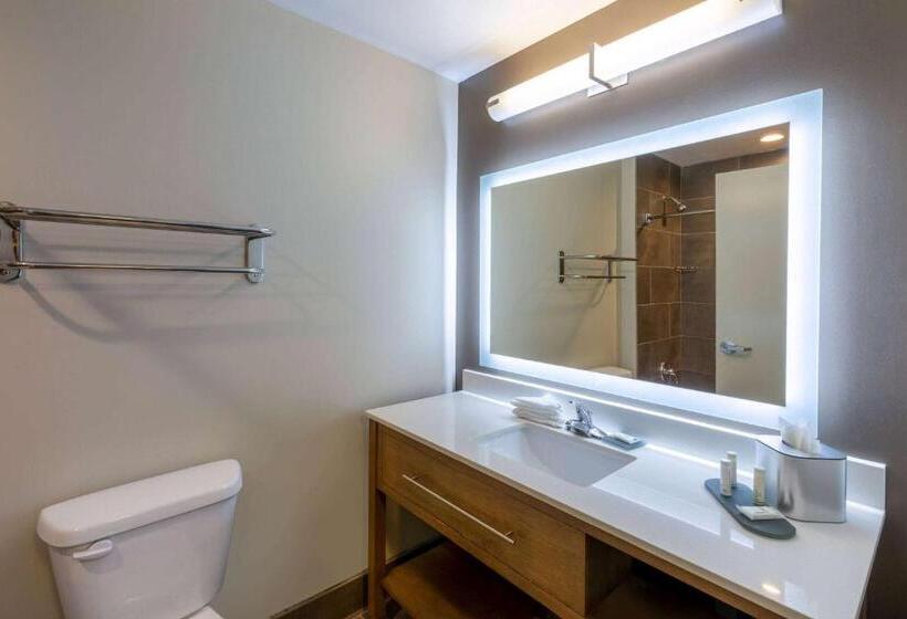 Стандартный Номер Кровать Кинг, La Quinta Inn & Suites By Wyndham Tulsa Downtown   Route 66