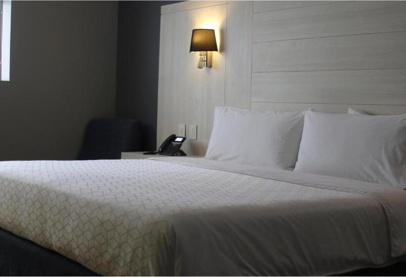 キングサイズベッドのスタンダードルーム, Holiday Inn Express Pachuca, An Ihg