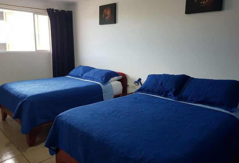 스탠다드 트리플 룸, Grosseto Palma Real