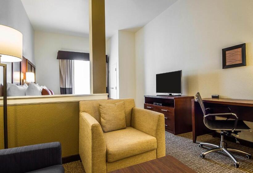 带大床的套房, Comfort Suites Woodland  Sacramento Airport