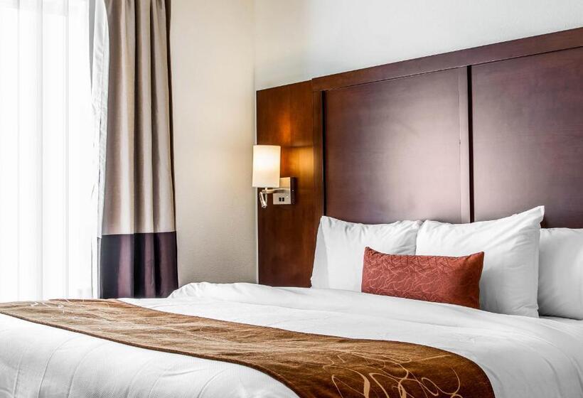 适合残疾人士使用的套间, Comfort Suites Woodland  Sacramento Airport