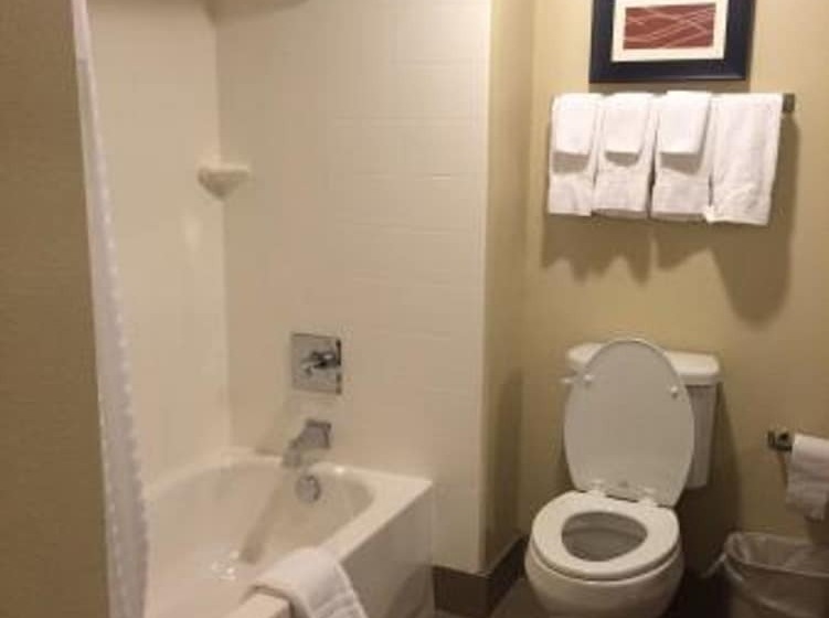 带2个双人床的标准工作室, Comfort Suites Woodland  Sacramento Airport