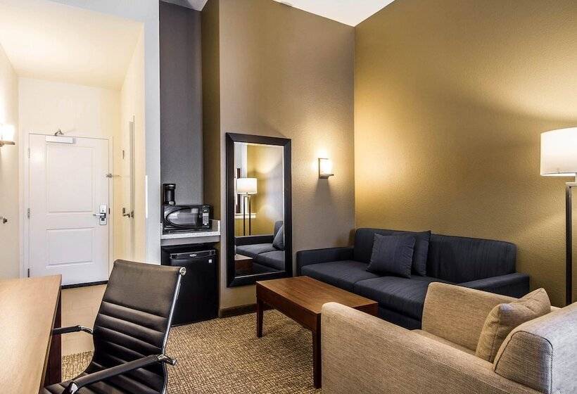 适合残疾人士使用的套间, Comfort Suites Woodland  Sacramento Airport