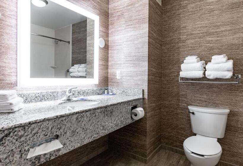 Люкс Кровать Кинг, Holiday Inn Express & Suites New Martinsville, An Ihg