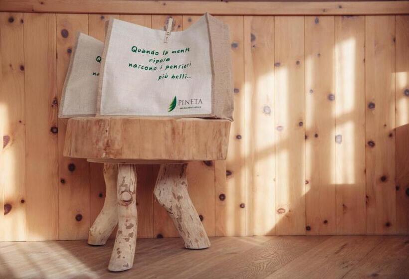 キングサイズベッドのスーペリアルーム, Pineta Nature Resort  Wellness & Spa