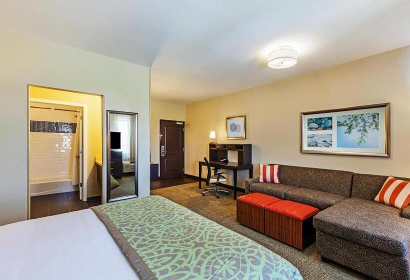 Люкс Адаптированный для Инвалидов, Staybridge Suites Fort Worth Fossil Creek, An Ihg
