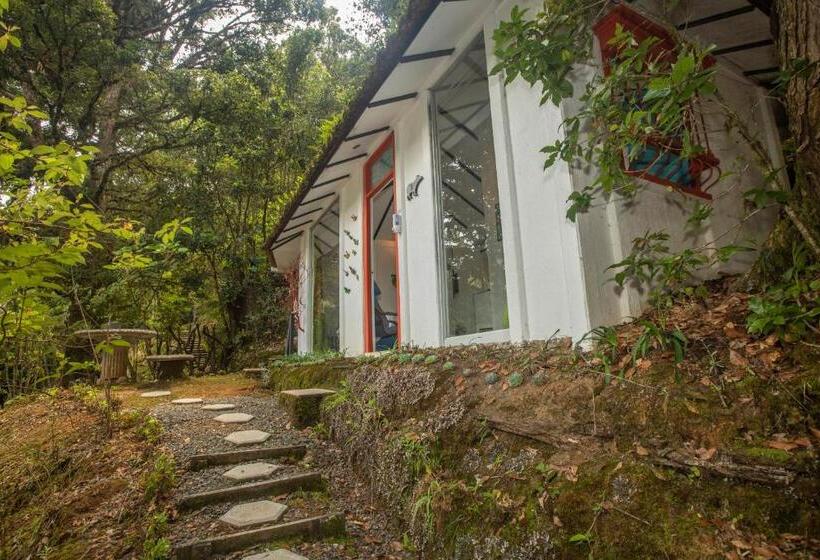 Бунгало Стандарт, Dantica Cloud Forest Lodge