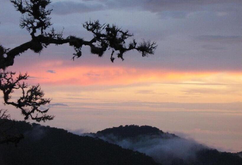 Полулюкс, Dantica Cloud Forest Lodge