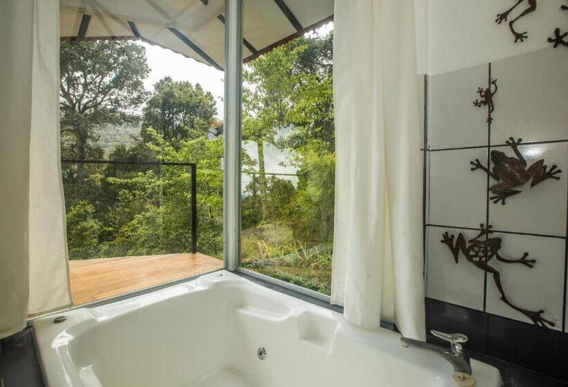 Бунгало Стандарт, Dantica Cloud Forest Lodge
