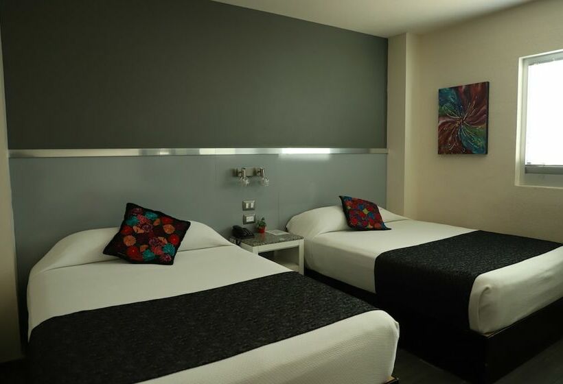 주니어 스위트, Homesuites Rotarismo