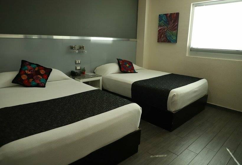 주니어 스위트, Homesuites Rotarismo