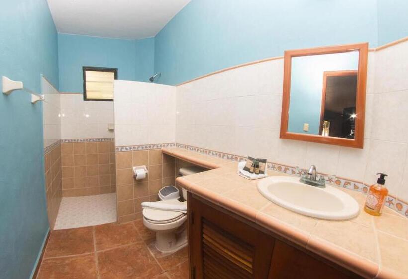 プレミアムルーム, Margarita Del Sol Hotel Costa Maya