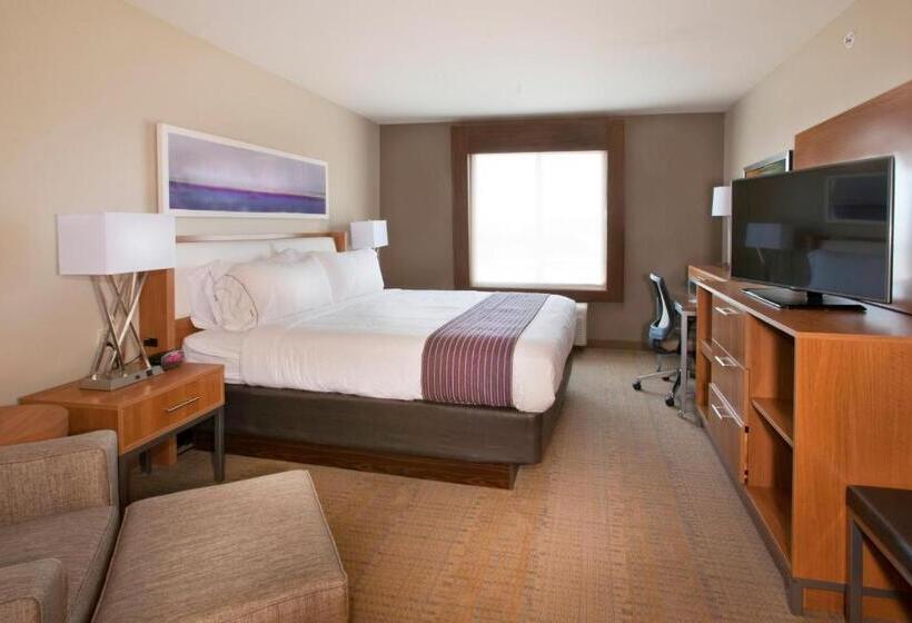 스탠다드 룸, Holiday Inn Express Hotel & Suites Hot Springs, An Ihg
