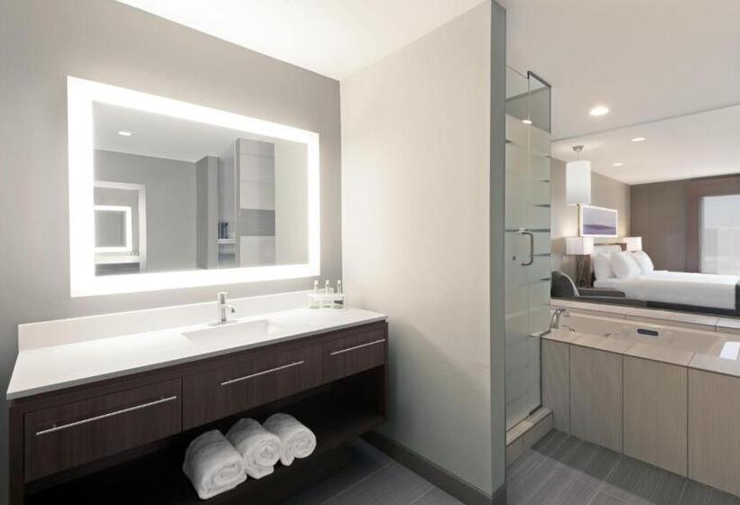 스탠다드 룸 킹사이즈 침대, Holiday Inn Express Hotel & Suites Hot Springs, An Ihg