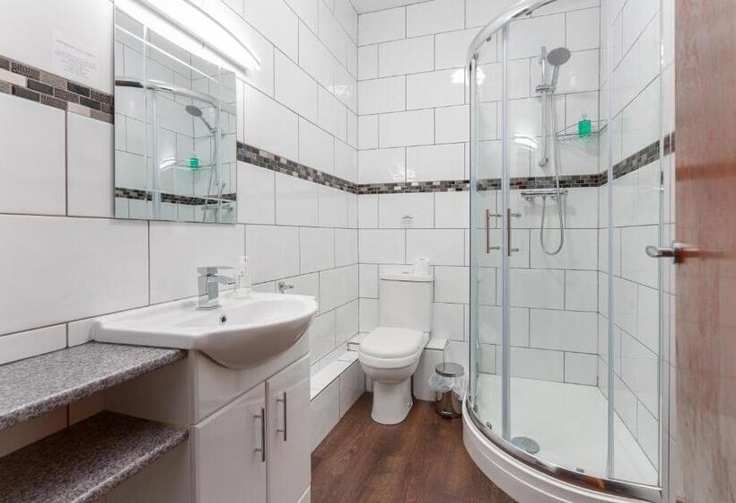 带大床的标准间, Ormsgill Inn