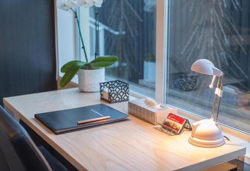 Студия Стандарт, Vita Nova Motel