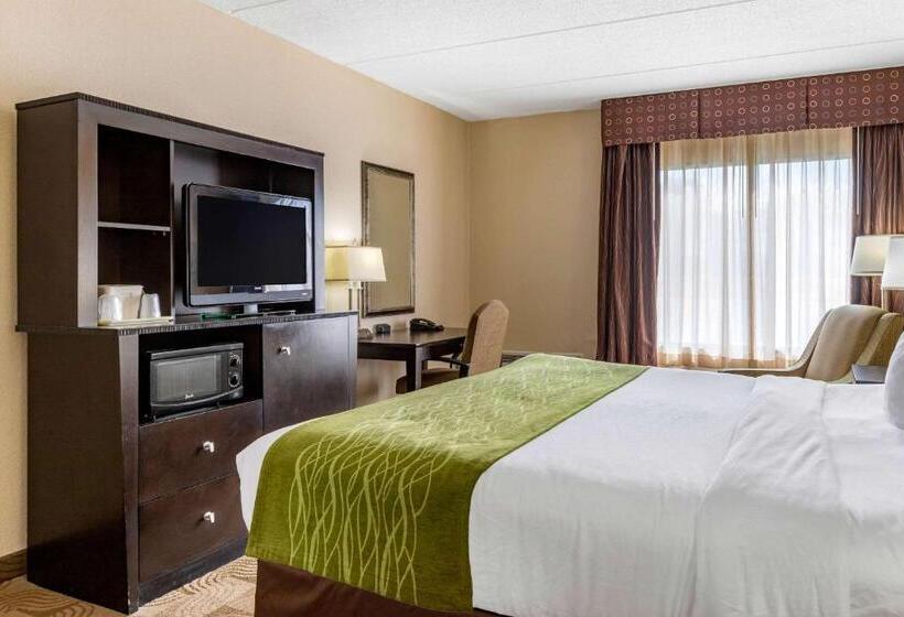 Стандартный Номер Кровать Кинг, Comfort Inn Warner Robins   Robins Air Force Base Area