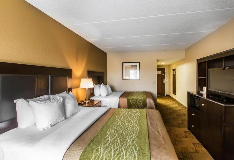 Номер Стандарт, Comfort Inn Warner Robins   Robins Air Force Base Area
