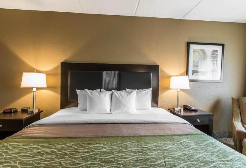 Номер Стандарт Кровать Кинг Адаптированный для Инвалидов, Comfort Inn Warner Robins   Robins Air Force Base Area