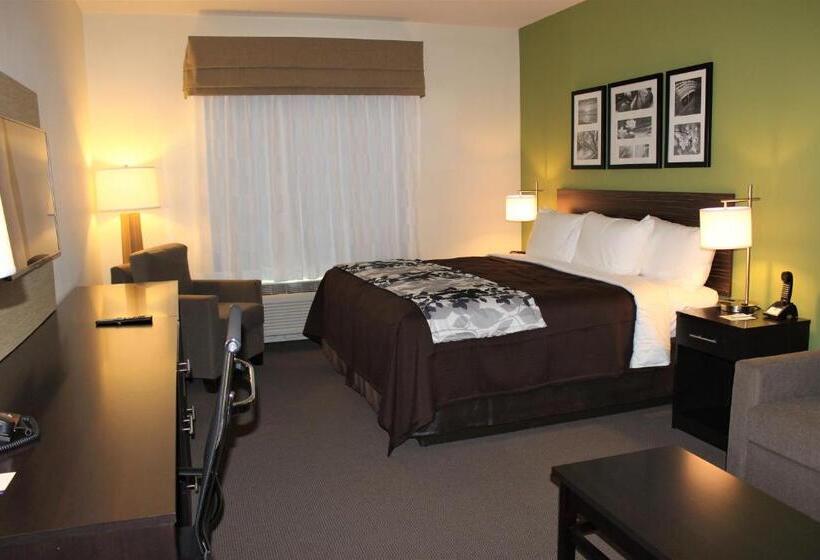 חדר סטנדרט עם מיטת קינג, Sleep Inn & Suites