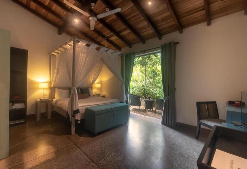 Номер Стандарт, Wallawwa