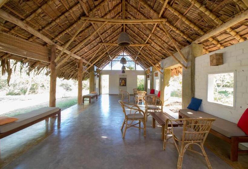 Хижина, Back Of Beyond   Wellness Retreat
