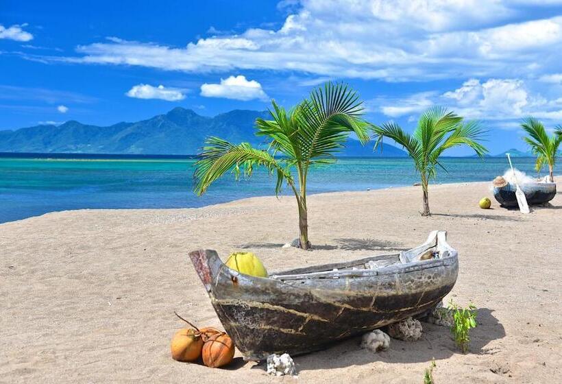Бунгало Стандарт, Coconut Garden Beach Resort