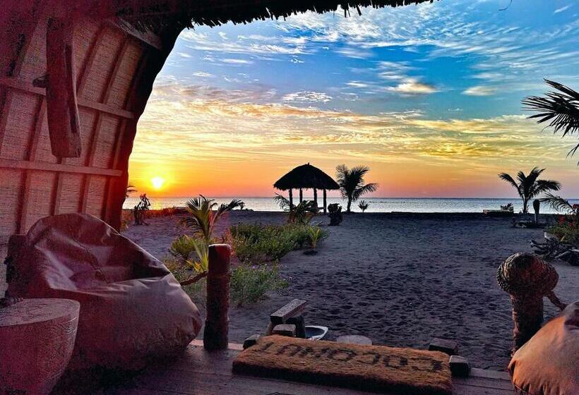 Семейное Бунгало, Coconut Garden Beach Resort