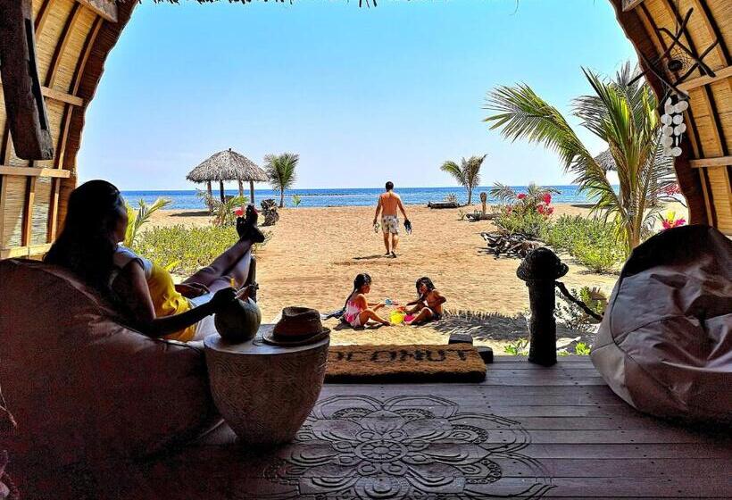 Семейное Бунгало, Coconut Garden Beach Resort