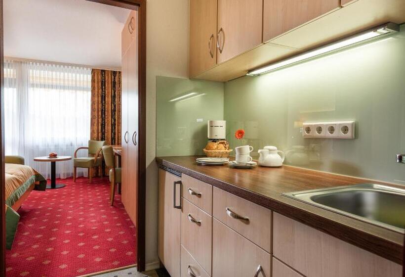 Полулюкс с Балконом, Johannesbad Thermalhotel Ludwig Thoma