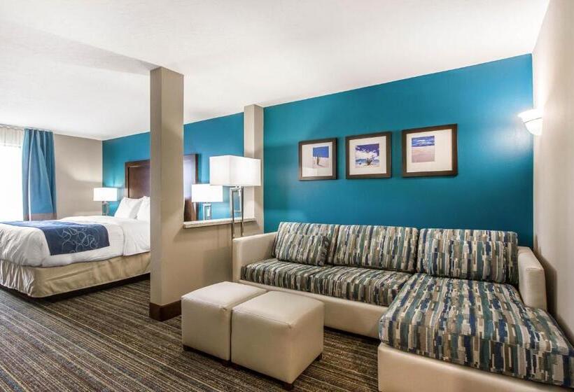 Люкс Кровать Кинг, Comfort Suites Of Las Cruces I 25 North